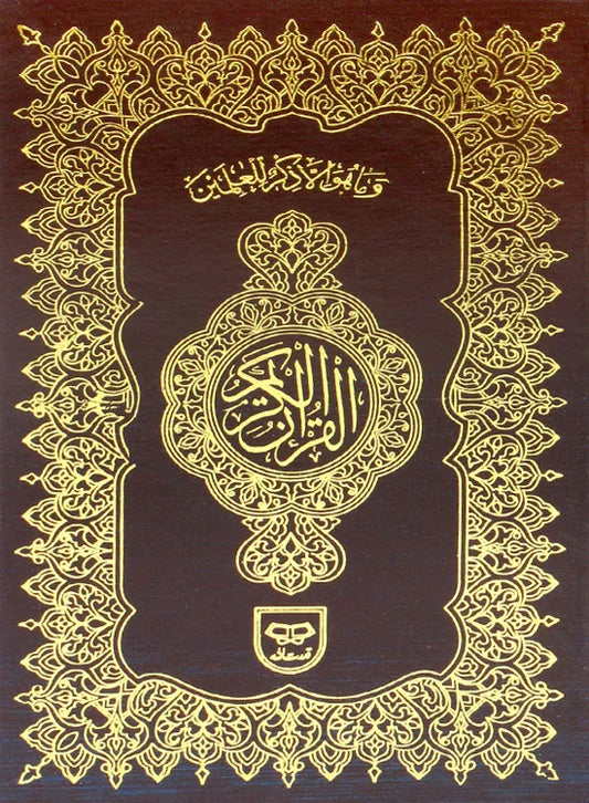 Holy Quran without Translation