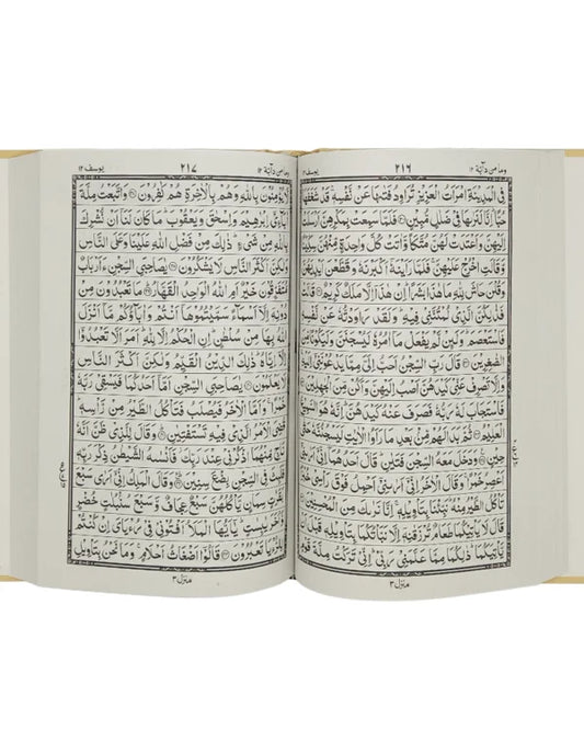 Holy Quran without Translation