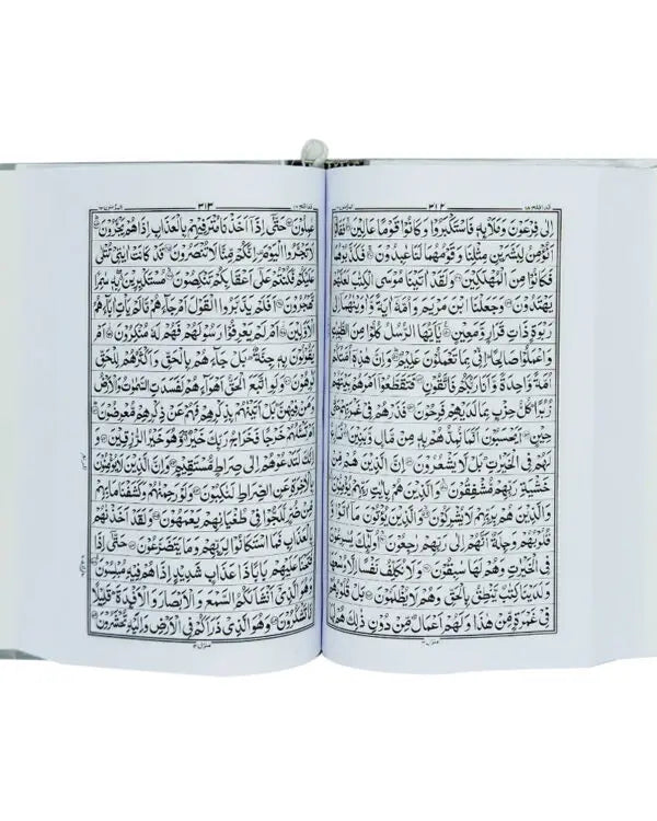 Holy Quran without Translation
