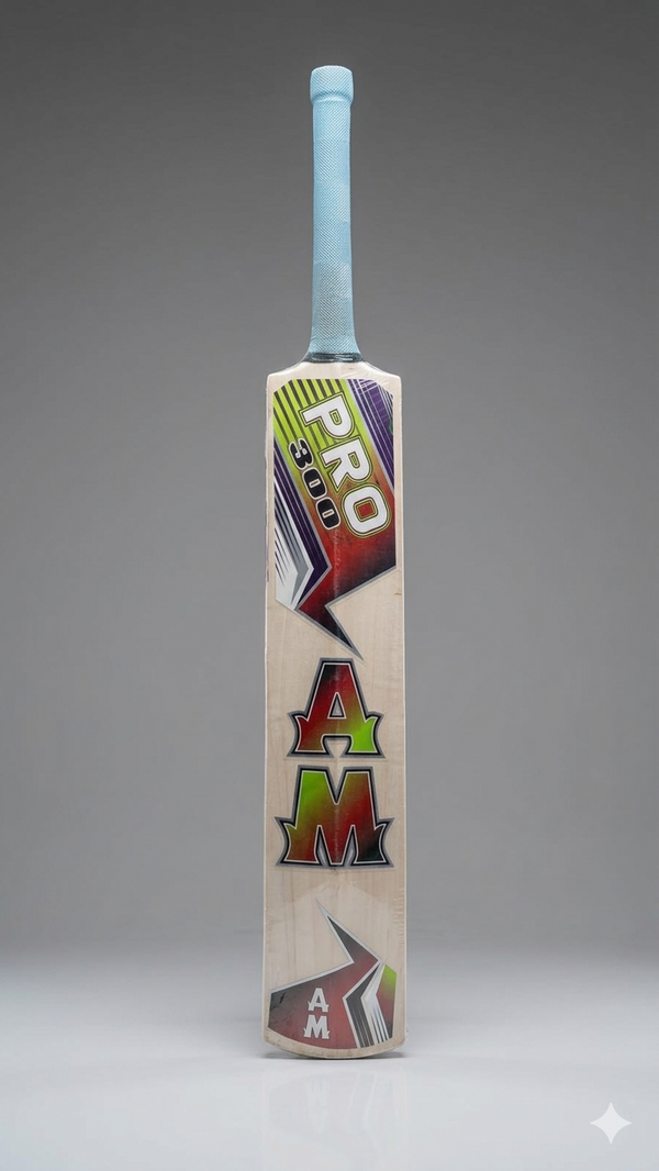 AM Pro 300 Cricket Bat